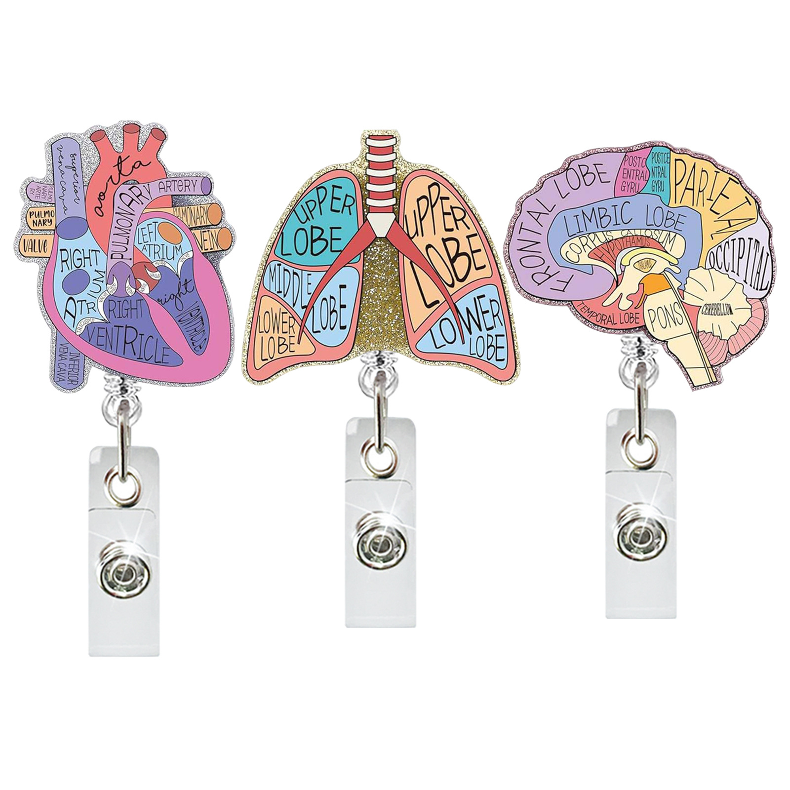 Xray Tech Accessories - Medical Care Heart Lungs Brain Acrylic