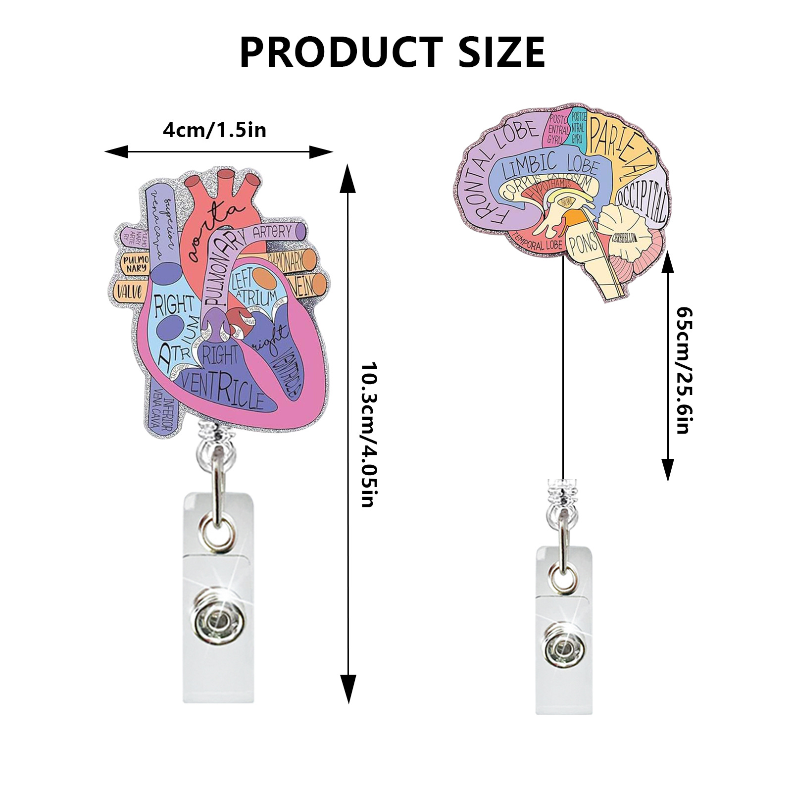 Medical Care Heart Lungs Brain - Xray Tech Accessories recension och pris